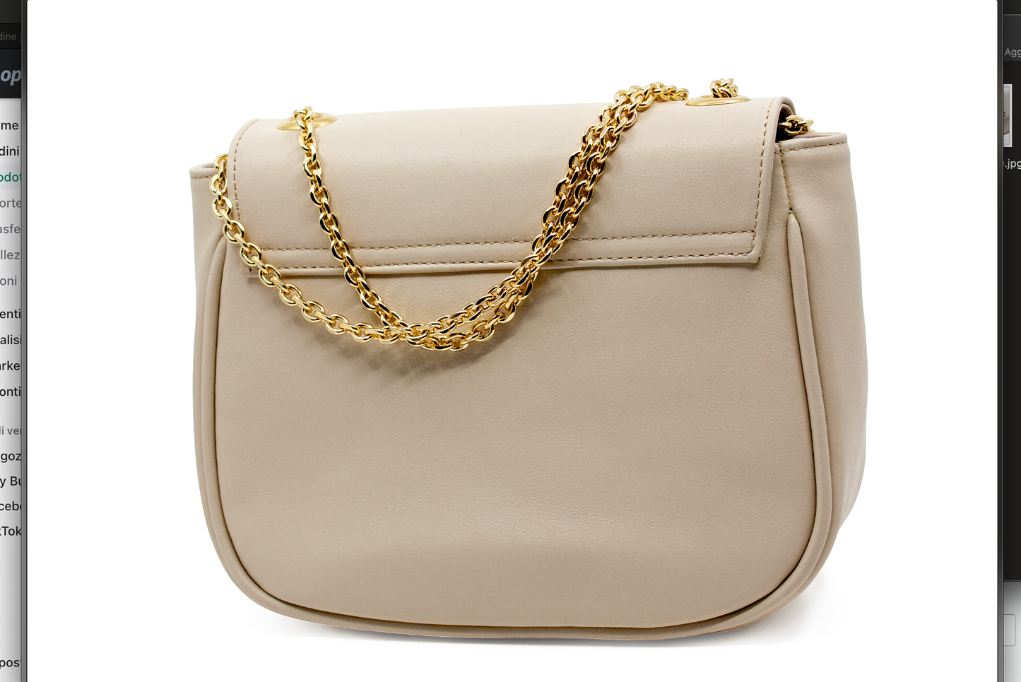 Fenice Bags - ReCiTi Roma